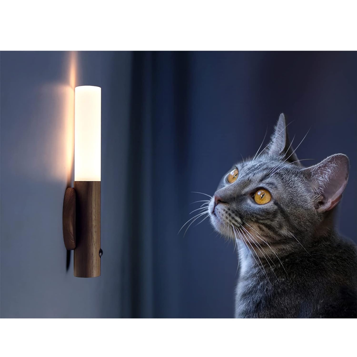 61kPrianf1L._SL1500_